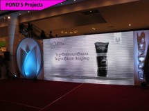 Pond's Projects